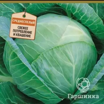 Семена Капуста белокочанная Тайнинская (А) 0,5, Поиск