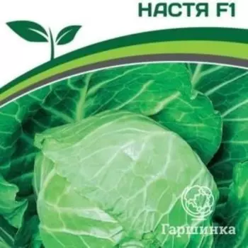 Семена Капуста белокочанная ультраранняя Настя F1 0,2 гр. Партнер