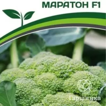 Семена Капуста брокколи Маратон F1 10 шт. Партнер