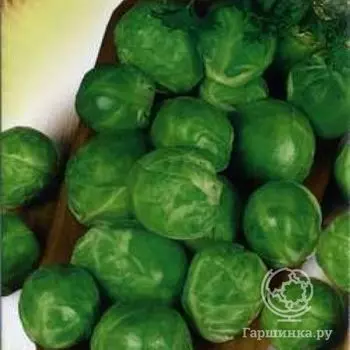 Семена Капуста брюссел. Геркулес 0,2 г