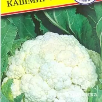 Семена Капуста цветная "Кашмир" F1 7 шт, Престиж