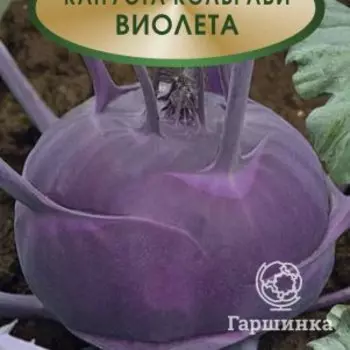 Семена Капуста кольраби Виолета 0,5, Поиск