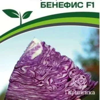 Семена Капуста краснокочанная Бенефис 0,3 гр. Партнер