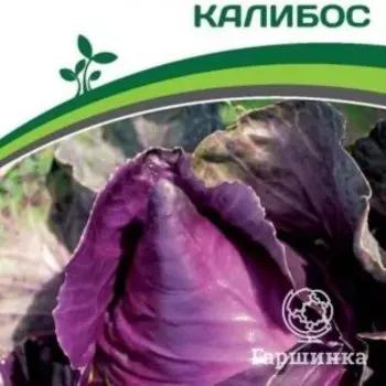 Семена Капуста краснокочанная Калибос 0,3 гр. Партнер