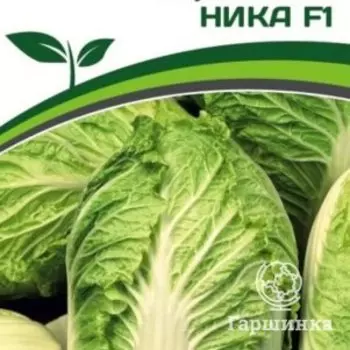 Семена Капуста пекинская Ника F1 0,5 гр. Партнер