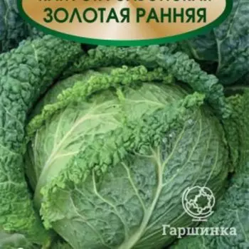 Семена Капуста савойская Золотая ранняя 0,5, Поиск