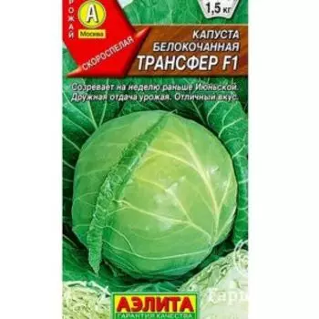 Семена Капуста Трансфер 0,1гр ЦП