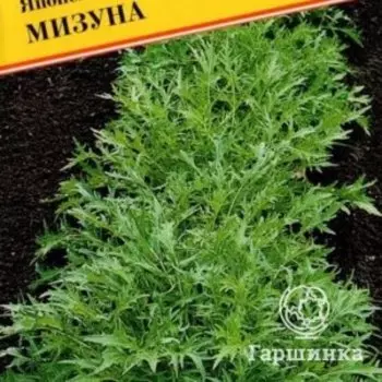 Семена капусты японской Мизуна (РС-1), 10 шт, Престиж