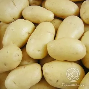 Семена Картофель Баллада 0,02г