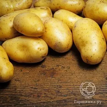 Семена Картофель Сказка