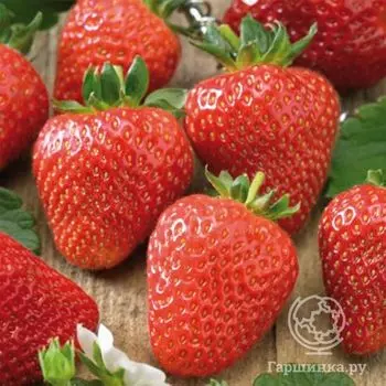 Семена Клубника Сариан F1