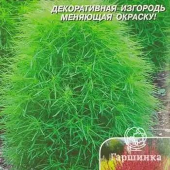 Семена Кохия Летний кипарис 0,3 гр Плазменные семена