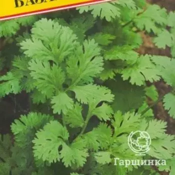 Семена Кориандр "Базар" 1 гр, Престиж