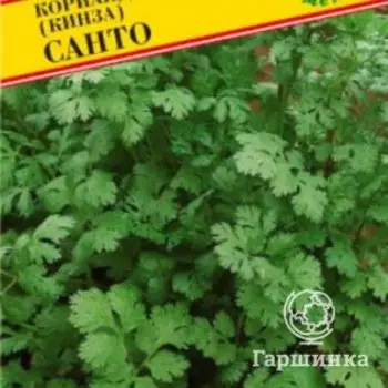 Семена Кориандр "Санто" 1 гр, Престиж