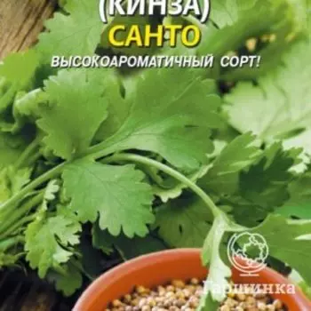 Семена Кориандр Санто 2 гр Плазменные семена