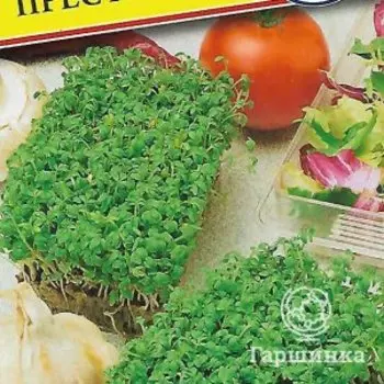 Семена Кресс-салат "Престиж" 0,5 гр, Престиж