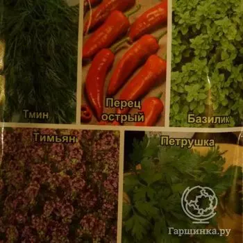 Семена Кухонные пряности к мясу 2г