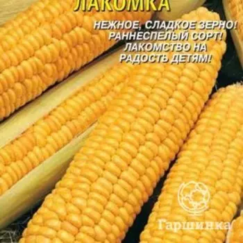 Семена Кукуруза сахарная Лакомка 4 гр Плазменные семена