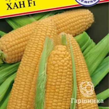 Семена Кукуруза сл. "Хан" F1 10 шт, Престиж