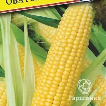 Семена Кукуруза сл. "Оватонна" F1 10 шт, Престиж