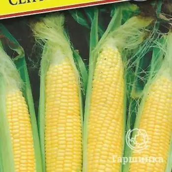 Семена Кукуруза сл. "Сентинель" F1 10 шт, Престиж