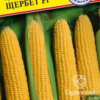 Семена Кукуруза сл. "Щербет" F1 10 шт, Престиж