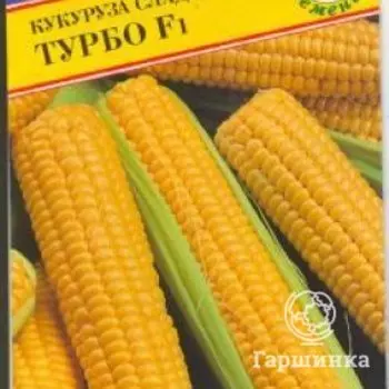 Семена Кукуруза сл. "Турбо" F1 15 шт, Престиж