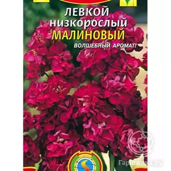 Семена Левкой Малиновый низкорослый