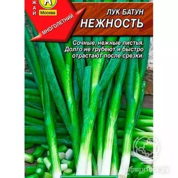 Семена Лук Батун Нежность