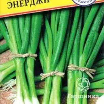 Семена Лук на зелень "Энерджи" 0,5 гр, Престиж