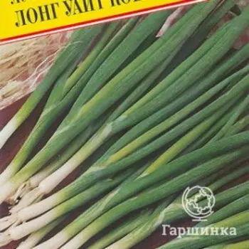 Семена Лук на зелень "Лонг Уайт Кошигая" 0,5 гр, Престиж