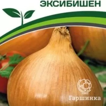 Семена Лук репчатый Эксибишен 0,5 гр. Партнер