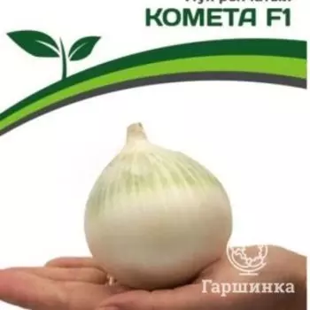 Семена Лук репчатый Комета F1 0,5 гр. Партнер