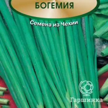 Семена Лук шнитт Богемия 0,5, Поиск