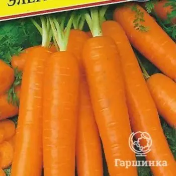 Семена Морковь "Элеганс" F1 0,5 гр, Престиж