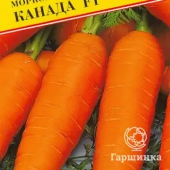 Семена Морковь "Канада F1" 0,5 гр, Престиж