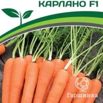 Семена Морковь Карлано F1 0,5 гр. Партнер