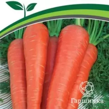 Семена Морковь Курода 1 г. Партнер