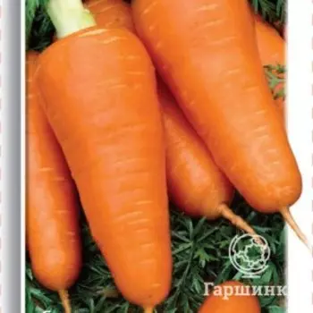 Семена Морковь Курода Шантанэ 2, Поиск