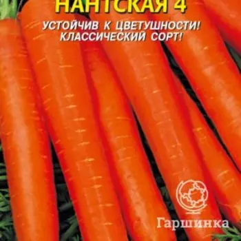Семена Морковь Нантская 4 улучшенная сладкая 1,5 гр Плазменные семена