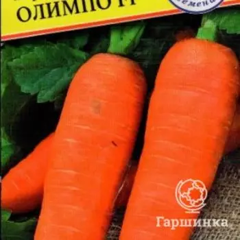 Семена Морковь " Олимпо " F1 6 м, Престиж