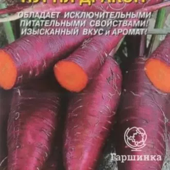 Семена Морковь Пурпл Дракон 100 шт Плазменные семена