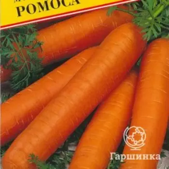 Семена Морковь "Ромоса" 1 гр, Престиж