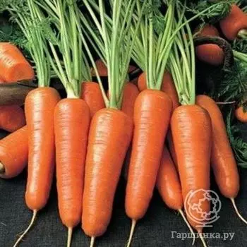 Семена Морковь Шантенэ 4г