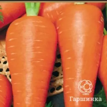 Семена Морковь Шантенэ Королевская (А) 2, Поиск