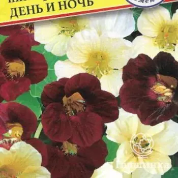 Семена Настурция большая "День и ночь" 1 гр, Престиж