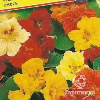 Семена Настурция большая "Верлибёд" Смесь 1 гр, Престиж