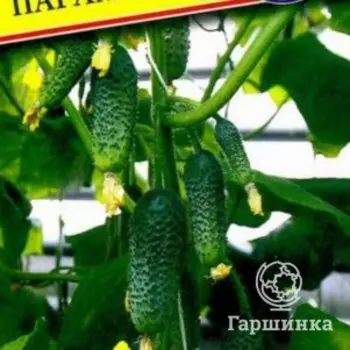 Семена огурца Парамон F1, 5 шт, Престиж