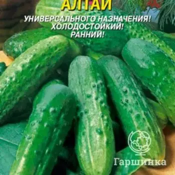 Семена Огурец Алтай 12 шт Плазменные семена