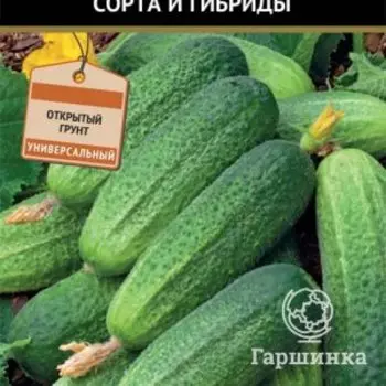 Семена Огурец Аристократ F1 (А) 12, Поиск